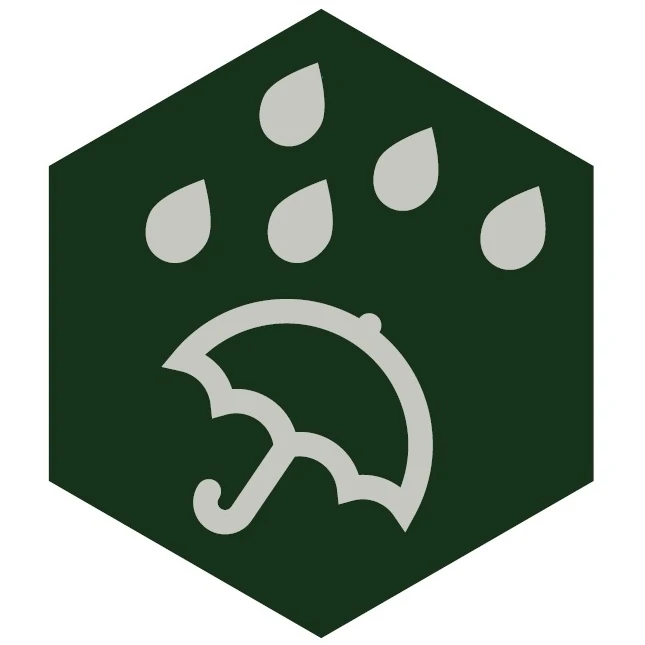 Płytki na taras nienasiąkliwe.webp